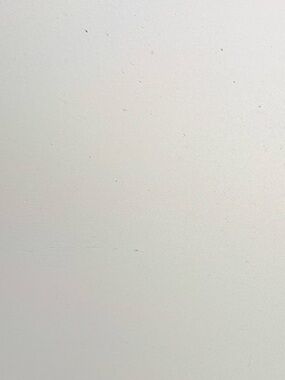 Teenflo Classic Women's Gray Dress Pants Wool Silk Blend Straight Leg Size 2